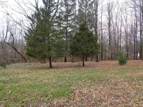 109 N Conwell Ave, Willard, OH 44890 photo 16