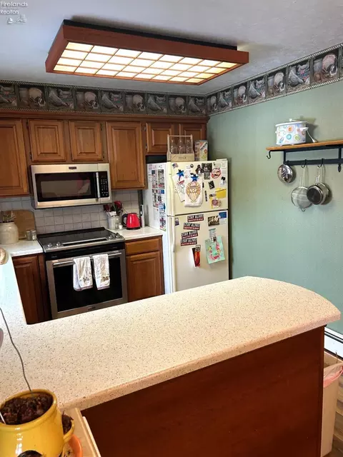 3359 Liberty Rd, Willard, OH 44890 photo 5