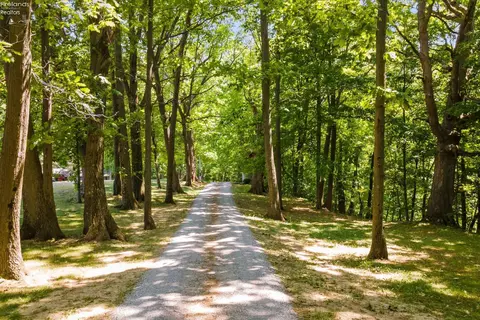 51689 Becker Rd, Wakeman, OH 44889 photo 26