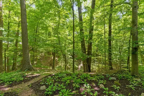 51689 Becker Rd, Wakeman, OH 44889 photo 25