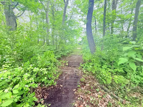 Other - 9343 E Bayshore Rd, Marblehead, OH 43440 photo 19 of 26