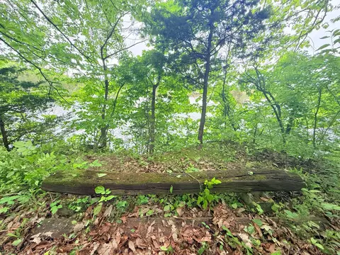 View/Area - 9343 E Bayshore Rd, Marblehead, OH 43440 photo 6 of 14