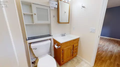 Bath - 1005 Tamarack Dr, Willard, OH 44890 photo 3 of 4