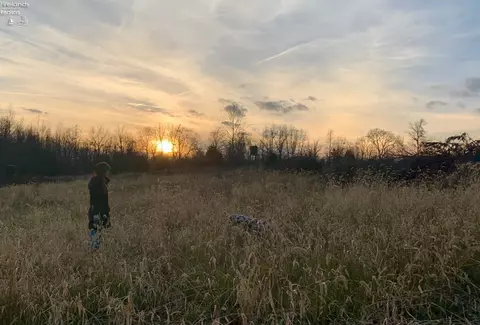 0 S Tr 173, Bloomville, OH 44818