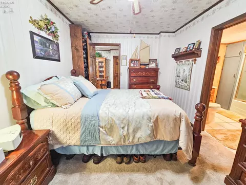 117 Nelson St, Clyde, OH 43410 photo 29