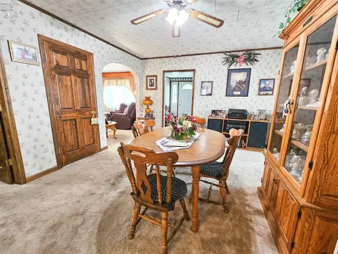 117 Nelson St, Clyde, OH 43410 photo 15