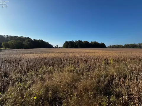 0 Section Line Rd, New London, OH 44851