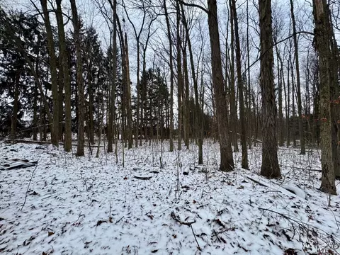 Other - 4757 Wenz Rd, Wakeman, OH 44889 photo 13 of 13