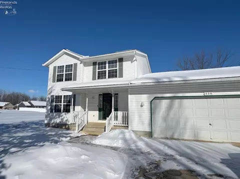 220 Woodland, Wellington, OH 44090