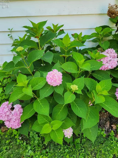 Other - 547 Wilder Ave, Huron, OH 44839 photo 29 of 29