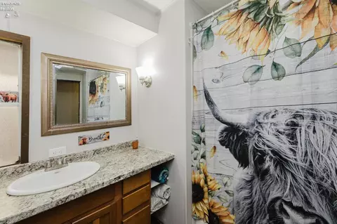 Bath - 505 Arabian Ct, Lagrange, OH 44050 photo 2 of 4