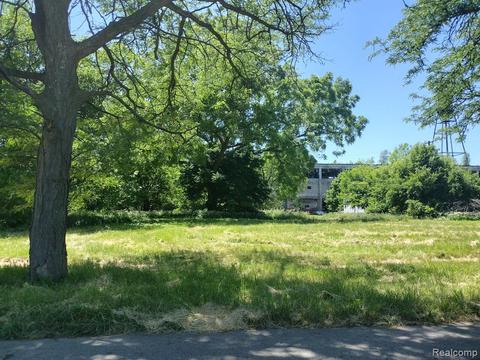 5433 Canton St, Detroit, MI 48211