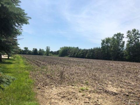 19002 32 Mile Rd, Ray, MI 48096