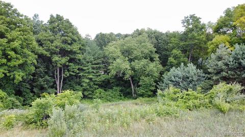5633 Ciderberry Dr, Brighton, MI 48116