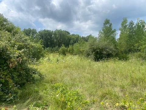 00 N Elms Rd, Flushing, MI 48433