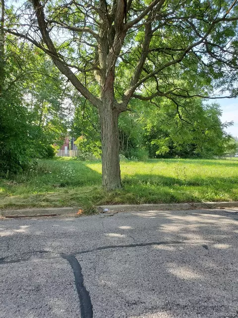 314 Mount Vernon Ave, Detroit, MI 48236