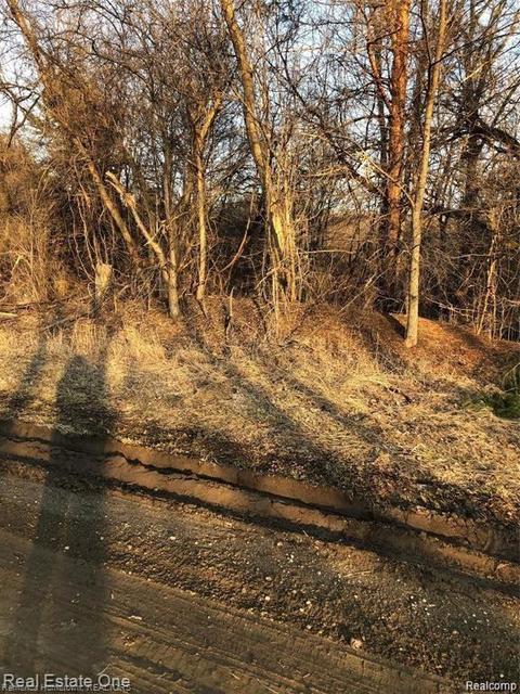 0000 Taylor Rd, Brighton, MI 48114