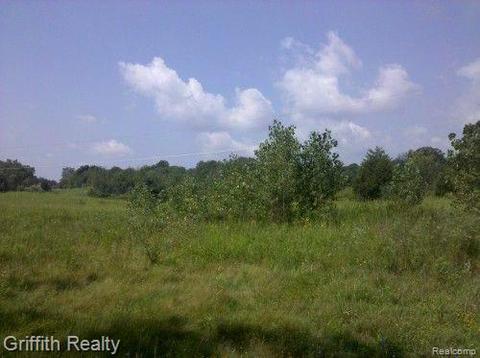Vac Oak Grove Road, Howell, MI 48855
