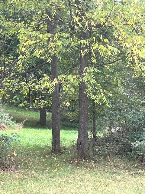 0000 Telford Grove Rd, Groveland, MI 48442