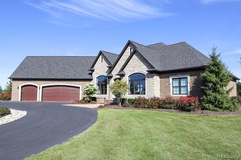 23231 Chase Ln, Ray, MI 48096 photo 1
