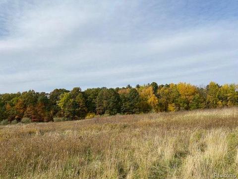 V/l Austin - 8.26 Acres, Lapeer, MI 48446
