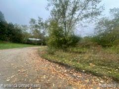 V/l Pinewood, Holly, MI 48442
