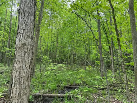 00 Davison Rd, Lapeer, MI 48446