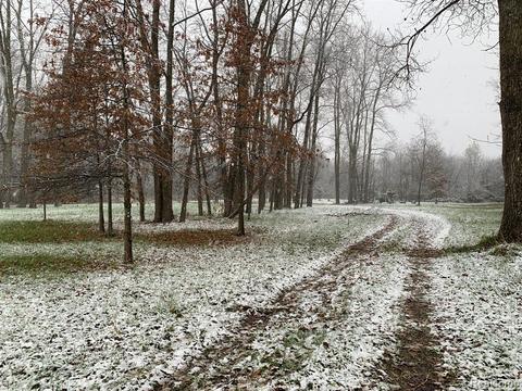 28265 Martinsville Rd, New Boston, MI 48164