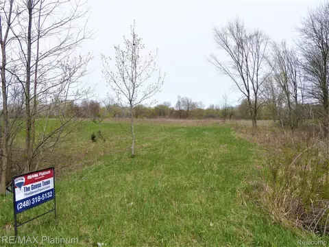 Par 6 Mason Rd, Handy, MI 48892