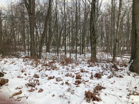 Lots 15 & 16 C Street, Caseville, MI 48725