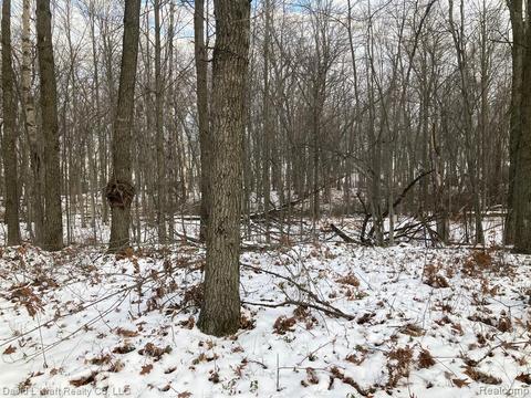 Lot 1 & 6 B St, Caseville, MI 48725