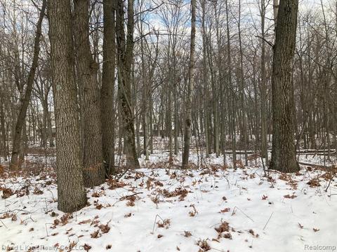 Lots 1-4 B St, Caseville, MI 48725