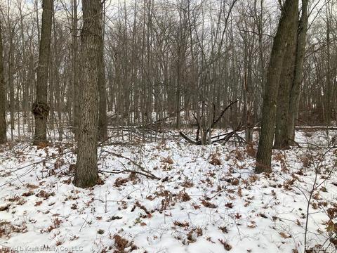 Lots 2-5 Mcbride St, Caseville, MI 48725