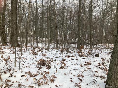 5 6 Mcbride St, Caseville, MI 48725