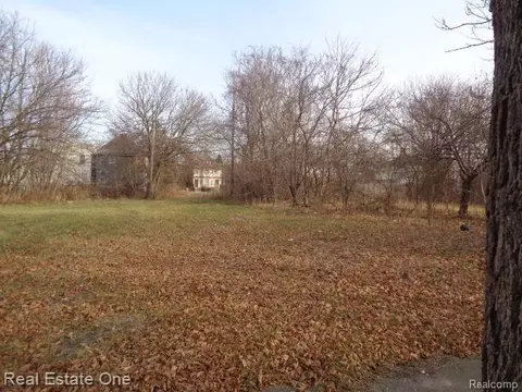 3806 Belvidere St, Detroit, MI 48214