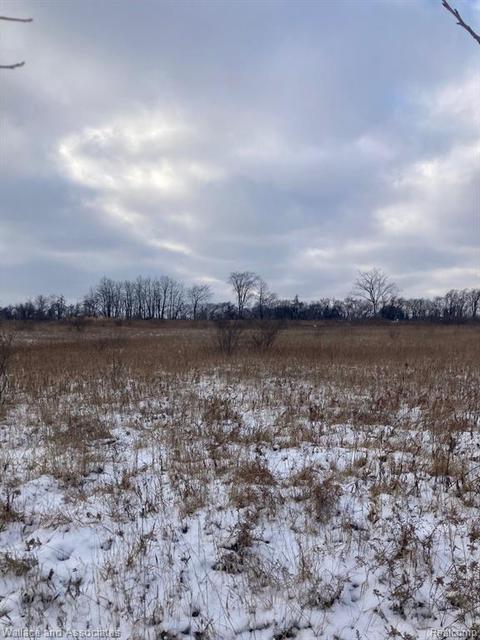 Vl Gardner Line, Croswell, MI 48422