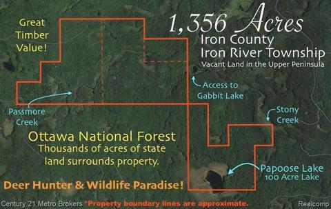 00430700100 Tbd Off Timber Service 3632 Rd, Trout Creek, MI 49967