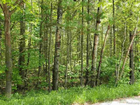 2727 E Mullett Lake Rd, Indian River, MI 49749