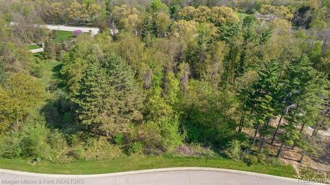 0000 Vl Acorn Grove Ct, Ortonville, MI 48462