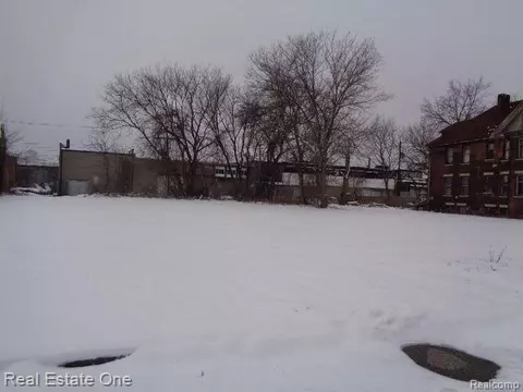 2419 Concord St, Detroit, MI 48207