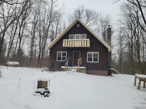 4193 E 56th St, Chase, MI 49623 photo 1