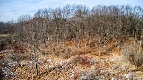 0000 Vines Rd, Howell, MI 48843