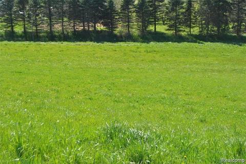 Lot 5 Shamrock Drive, Lapeer, MI 48446