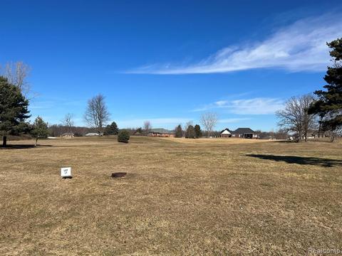 0000 Masters Dr, Metamora, MI 48455