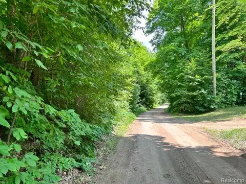 0 Brandon Rd, Cadillac, MI 49601