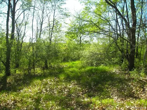 0 Ledgewood Dr, Tyrone, MI 48430