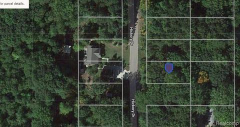 00 Hickory Dr, Lakeview, MI 48850