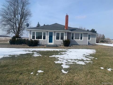 3228 Loeding Rd, Applegate, MI 48401 photo 1