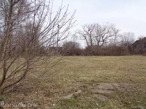 612 Concord St, Detroit, MI 48207