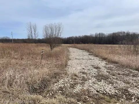 13176 Henderson Rd, Forest, MI 48464